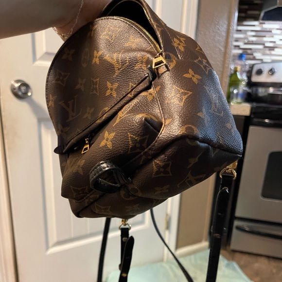 Louis Vuitton mini Palm Springs - Picture 2 of 9